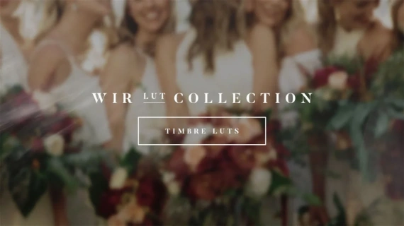 Gamut - Timbre LUTs by White In Revery — preview 7