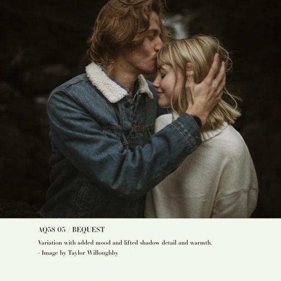 Archipelago – Quest 38 Bequest Presets: Romantic Legacy & Baroque Glow — preview 4