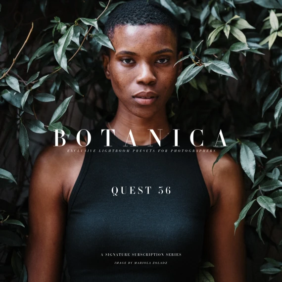 Archipelago – Quest 36 Botanica: Vibrant Nature-Inspired Preset Collection