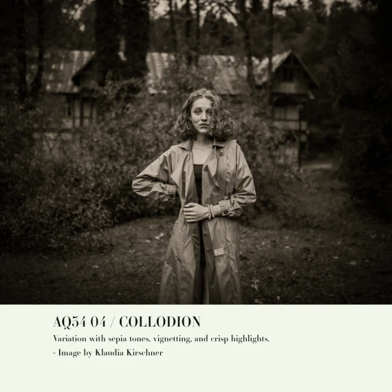 Archipelago – Quest 34 Collodion: Vintage Tintype Black & White Presets — preview 5