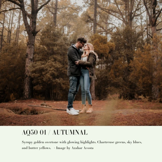 Archipelago – Quest 30 Autumnal: Cinematic Fall Preset Collection — preview 2