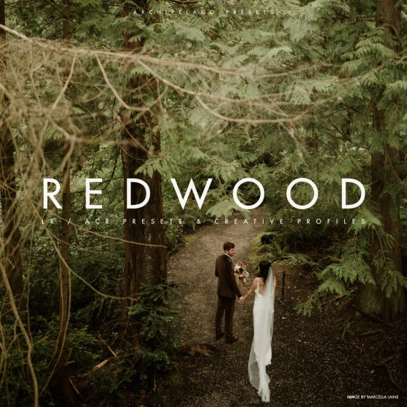 Archipelago – Redwood: Pacific Northwest Inspired Preset Collection