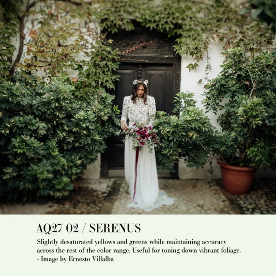 Archipelago – Quest 27 Serenus: Refined Color Accuracy Preset Pack — preview 3