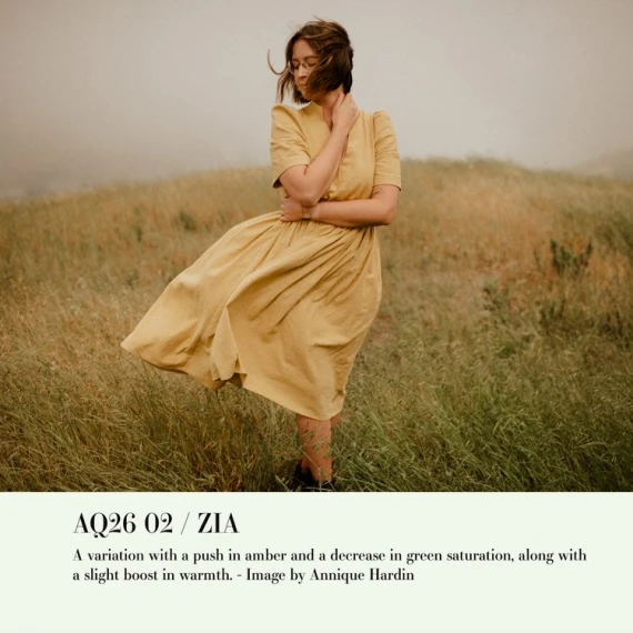 Archipelago – Quest 26 Zia: Golden Sunlight Preset Collection — preview 3