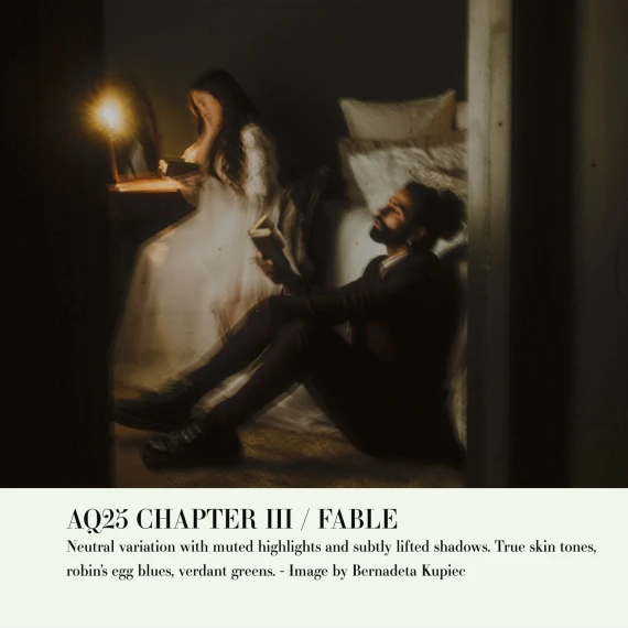 Archipelago – Quest 25 Fable: Storytelling Preset Collection — preview 4