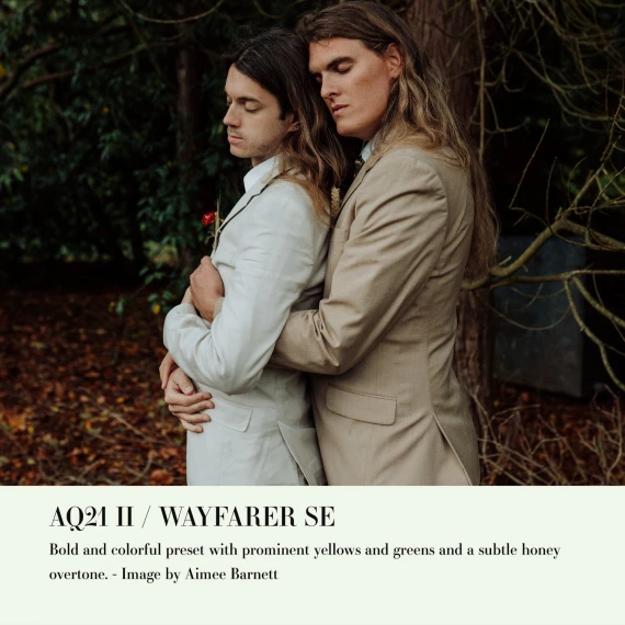 Archipelago – Quest 21 Wayfarer SE Presets — preview 4