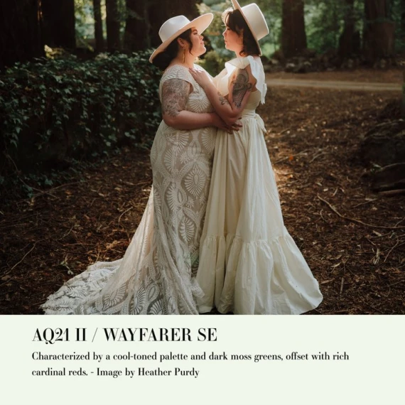 Archipelago – Quest 21 Wayfarer SE Presets — preview 3