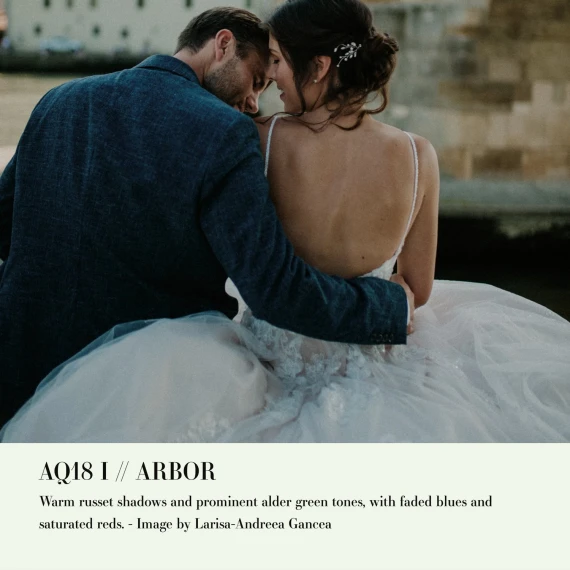 Archipelago – Quest 18 Arbor Preset Pack — preview 2