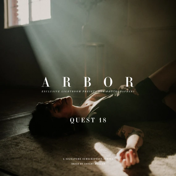 Archipelago – Quest 18 Arbor Preset Pack