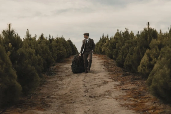 DVLOP – Shortstache RGB (Cinematic Color Storytelling) — preview 4