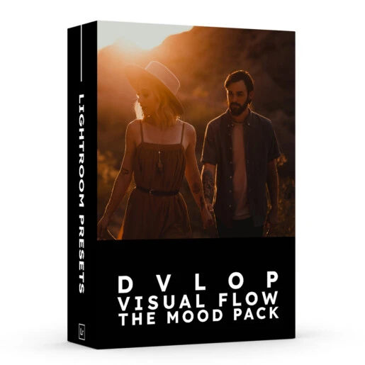 DVLOP – Visual Flow The Mood Pack (Dark & Moody Presets)