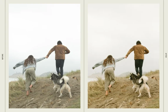 Dawn Charles – DC Presets Pack Three: Natural, Warm & Earthy Tones — preview 3