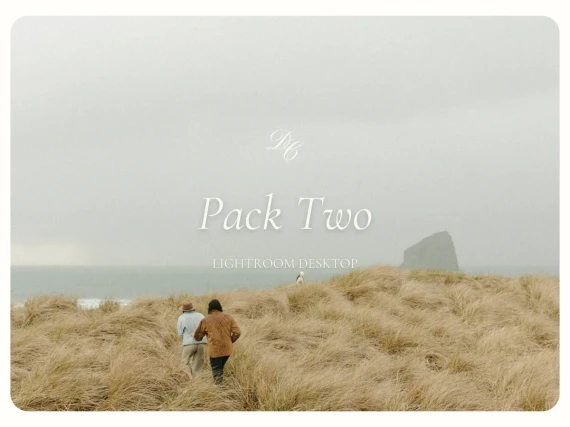 Dawn Charles – DC Presets Pack Two: Warm & Nostalgic Film-Inspired Collection