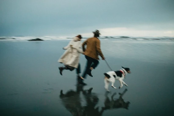 Meridian Presets – LKO 2.0: Moody Pacific Northwest Inspired Editing — preview 4