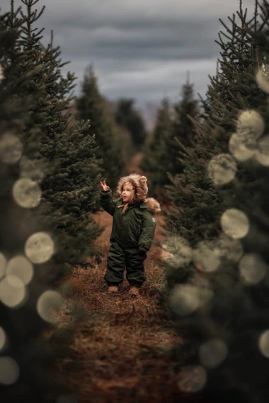 Meridian Presets – Sphaera: Real Bokeh Light Brush Effects by Meg Loeks — preview 5