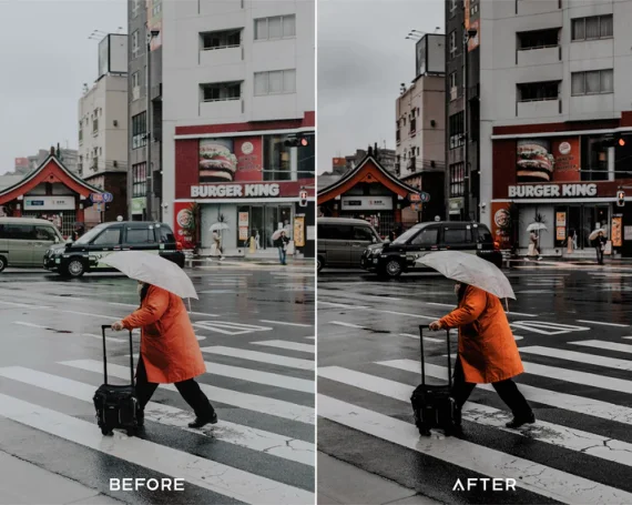 Cine Filmx Preset & LUTs Collection – Classic Gray Cinematic Tones — preview 2