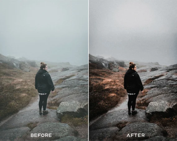 Cine Filmx Preset & LUTs Collection – Classic Gray Cinematic Tones — preview 4
