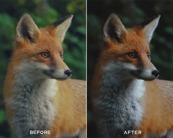 Cinematic Green Preset & LUTs Collection – Lush Filmic Tones — preview 5