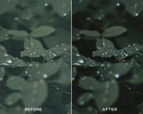Cinematic Green Preset & LUTs Collection – Lush Filmic Tones — preview 2
