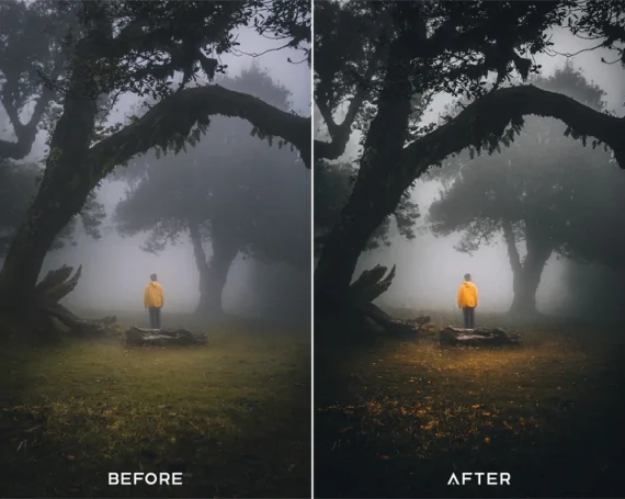 Cinematic Preset & LUTs Collection – Classic Movie-Style Looks — preview 2