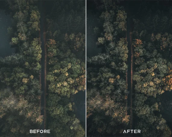 Cinematic Preset & LUTs Collection – Classic Movie-Style Looks — preview 4