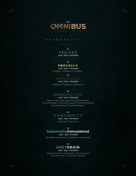 Benj™ – Omnibus Creative Bundle (100+ Presets & 31 LUTs) — preview 2