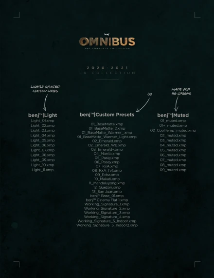 Benj™ – Omnibus Creative Bundle (100+ Presets & 31 LUTs) — preview 4
