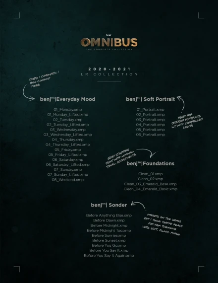 Benj™ – Omnibus Creative Bundle (100+ Presets & 31 LUTs) — preview 5