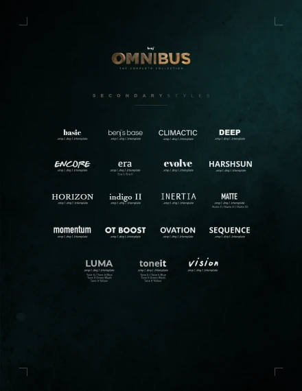 Benj™ – Omnibus Creative Bundle (100+ Presets & 31 LUTs) — preview 3