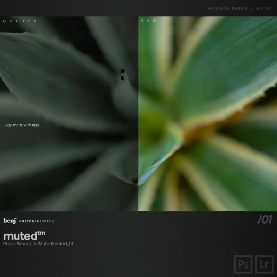Benj™ – Deep Cinema x Muted Bundle (28 Presets + Curves + Bonus) — preview 2