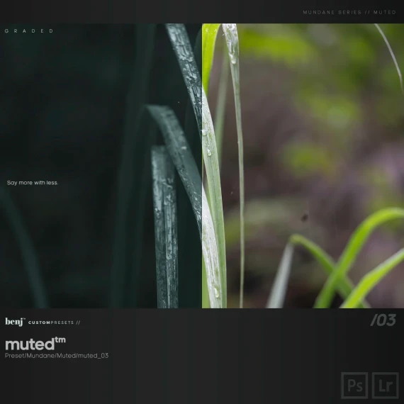 Benj™ – Deep Cinema x Muted Bundle (28 Presets + Curves + Bonus) — preview 3