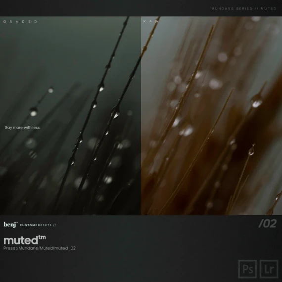 Benj™ – Deep Cinema x Muted Bundle (28 Presets + Curves + Bonus) — preview 4