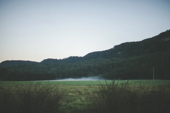 Julia Trotti - Disposable Film Lightroom Preset — preview 4