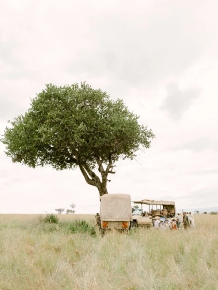 Refined – KT Merry Color Presets + Profiles (Fuji-Inspired Hybrid Workflow)