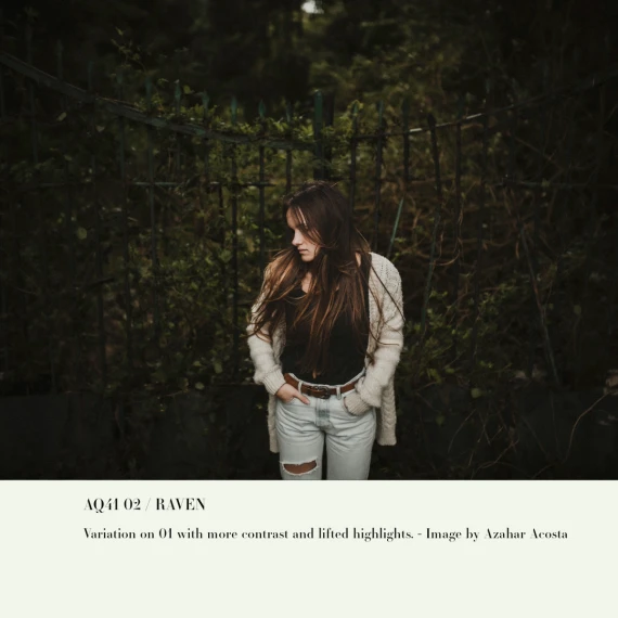Archipelago – Quest 41 Raven (Moody Twilight Presets) — preview 3