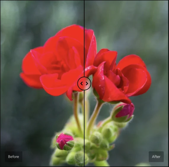 Cobalt Image Presets – The Base Pack for Adobe (Standard, Neutral, Flat, Repro)