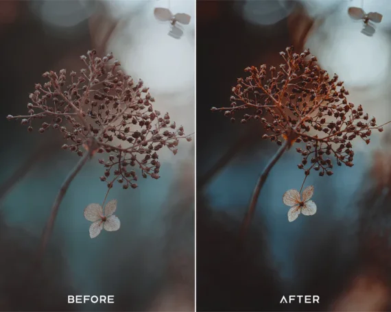 Dark Brown Preset & LUTs Collection – Moody Outdoor Aesthetics — preview 5