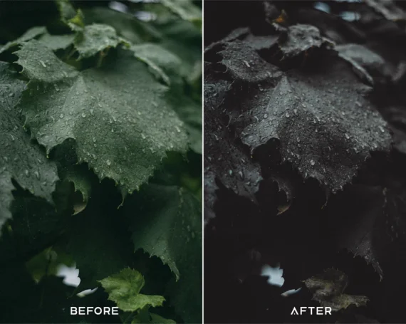 Dark Brown Preset & LUTs Collection – Moody Outdoor Aesthetics — preview 2