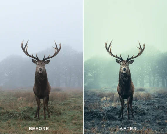 Deep Moody Preset & LUTs Collection – Dark Cinematic Tones — preview 4