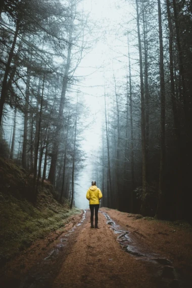 Tom Kahler – Fog Lightroom Presets (Moody Atmospheric Look)