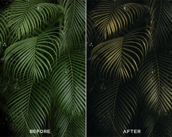 Explore Preset & LUTs Collection – Adventure & Travel Tones — preview 4