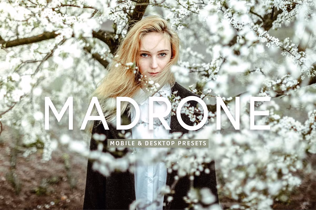 CreativeMarket – Madrone Pro Lightroom Presets (13 Presets)