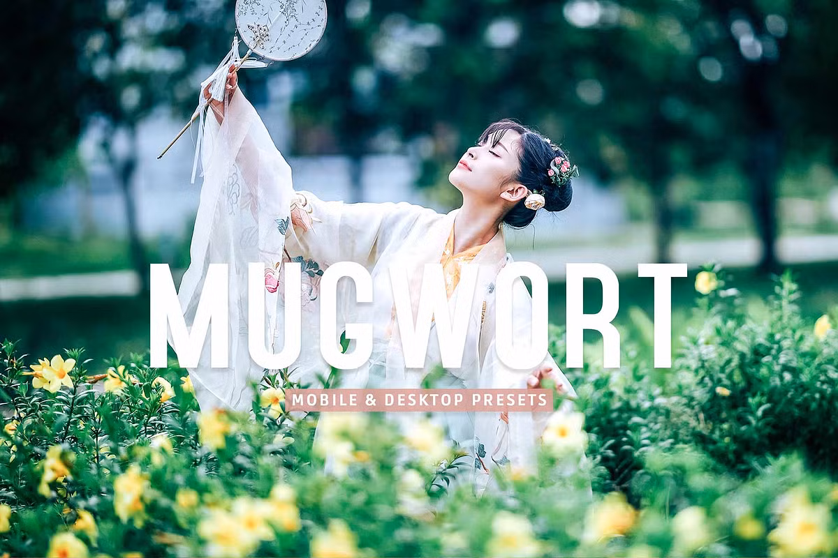 CreativeMarket – Mugwort Pro Lightroom Presets (13 Presets)