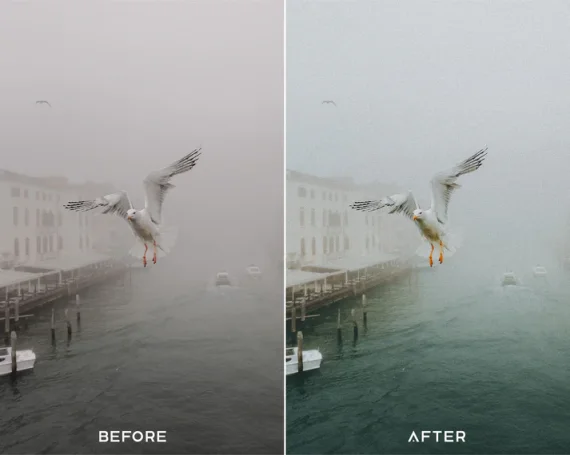 Film II Preset & LUTs Collection – Authentic Vintage Film Look — preview 4