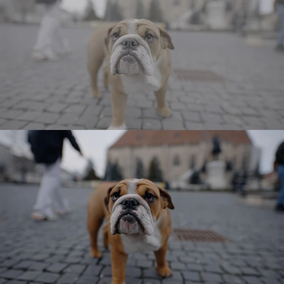 Alexandru Don – Skintone Edition (Sony S-Log3 Cinematic LUTs) — preview 5