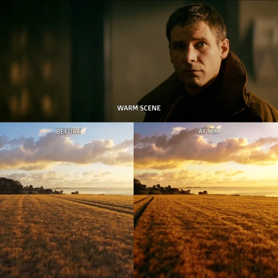 Hollywood LUTs – Blade Runner Cinematic Pack — preview 3