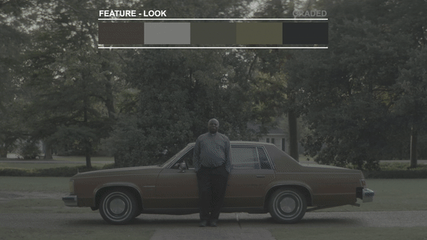 Tropic Colour - Cinematic Looks — preview 2