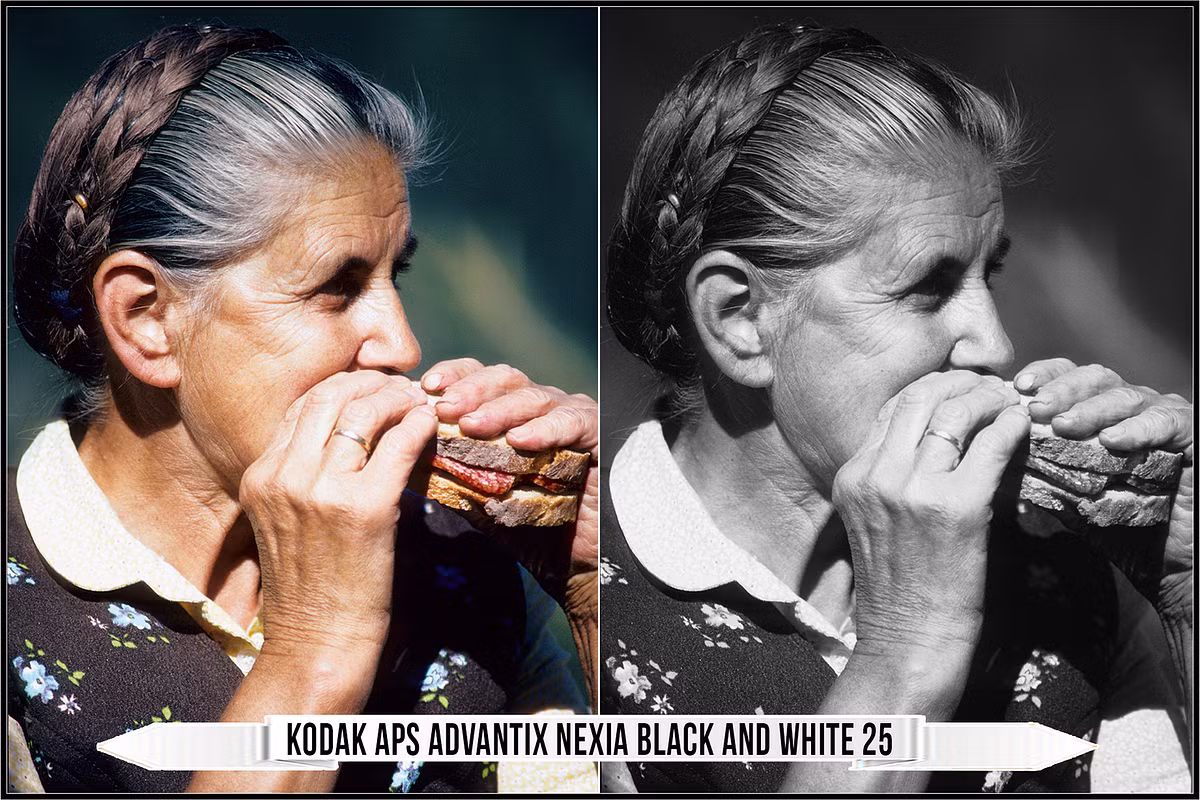 Raztrend – Kodak Black & White Film LUTs Collection — preview 7