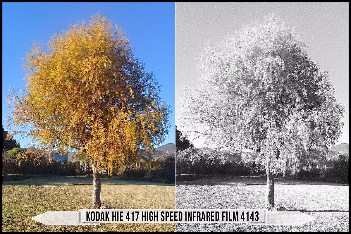 Raztrend – Kodak Black & White Film LUTs Collection — preview 2