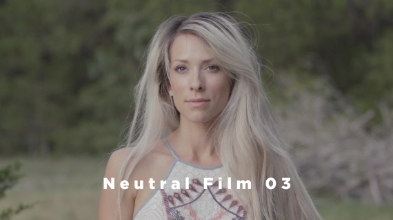 Theo Miesner – Swiss Video LUTs Collection — preview 6